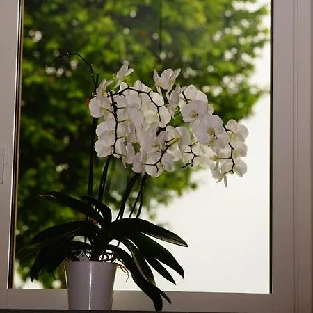 Casa Vola 3* Кунео